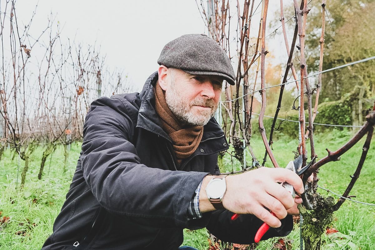 Peter Vandamme van wijndomein Klein Rijselhoek die zijn druiven inspecteert.