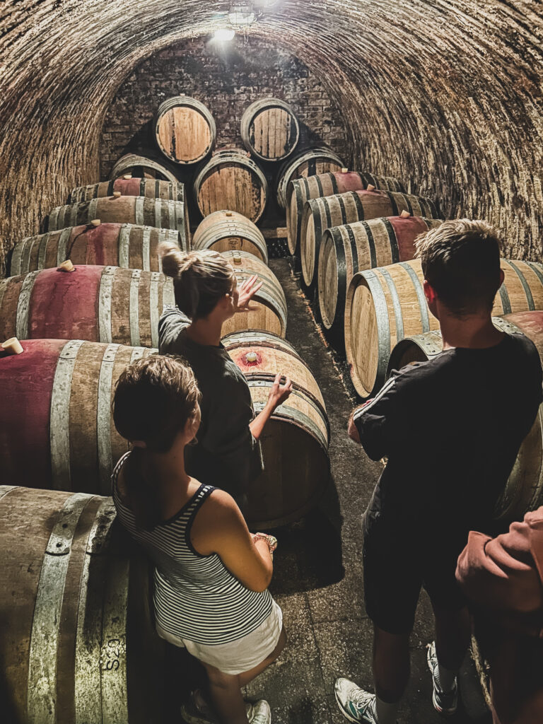 Een foto van 1 van de 3 wijnkelders van wijndomein "Herzanovi". In deze kelder worden de rode wijnen bewaard. 